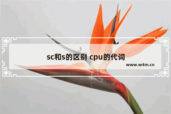 sc和s的区别 cpu的代词