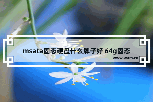 msata固态硬盘什么牌子好 64g固态硬盘哪个好