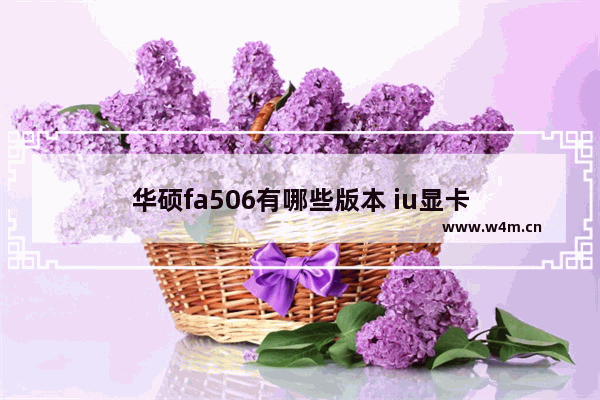 华硕fa506有哪些版本 iu显卡