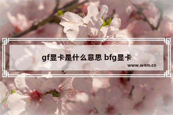 gf显卡是什么意思 bfg显卡