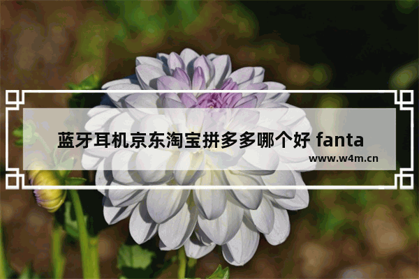 蓝牙耳机京东淘宝拼多多哪个好 fantasy耳机是什么品牌