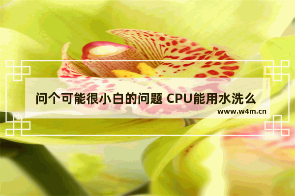 问个可能很小白的问题 CPU能用水洗么 无cpu可以