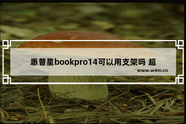 惠普星bookpro14可以用支架吗 超薄笔记本电脑支架