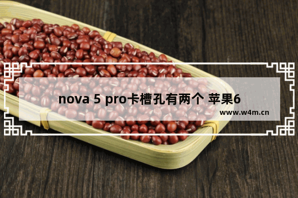 nova 5 pro卡槽孔有两个 苹果6S手机卡托可以互用吗