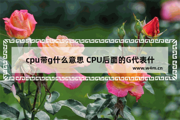 cpu带g什么意思 CPU后面的G代表什么意思