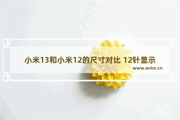 小米13和小米12的尺寸对比 12针显示器