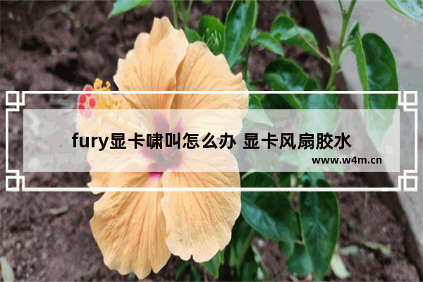 fury显卡啸叫怎么办 显卡风扇胶水