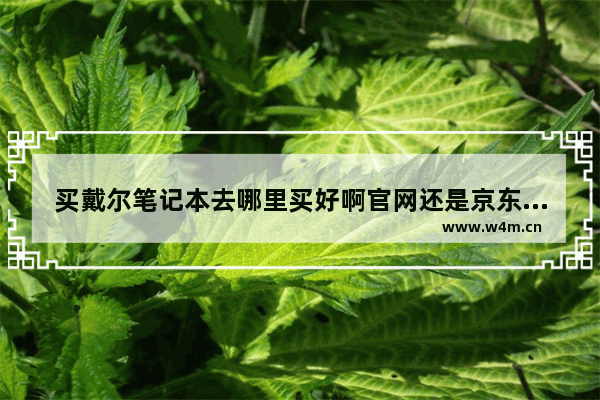 买戴尔笔记本去哪里买好啊官网还是京东 还是实体店 买联想笔记本在苏宁易购好还是在京东好