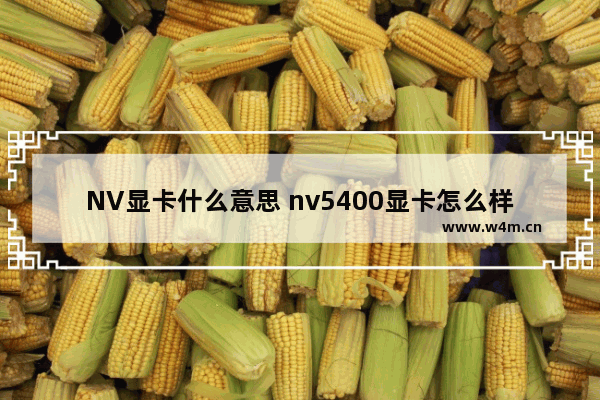 NV显卡什么意思 nv5400显卡怎么样