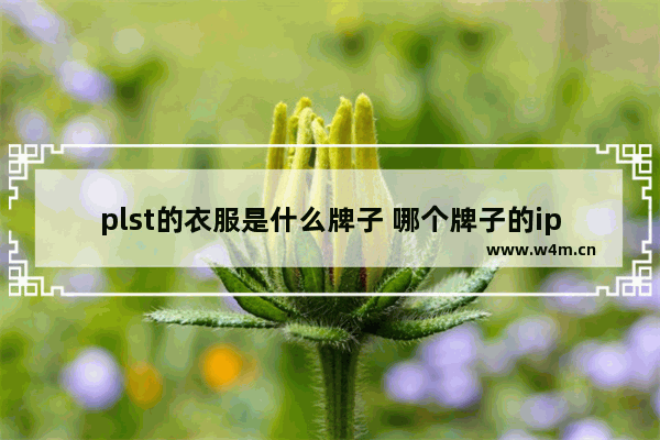 plst的衣服是什么牌子 哪个牌子的ips屏幕最好