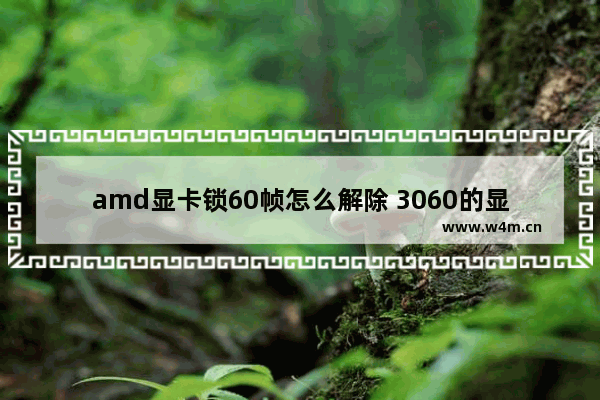 amd显卡锁60帧怎么解除 3060的显卡为什么帧数只有五十多