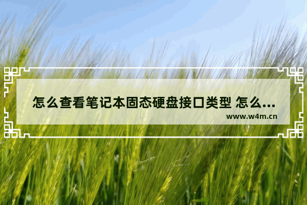 怎么查看笔记本固态硬盘接口类型 怎么知道笔记本电脑是否有固态硬盘接口