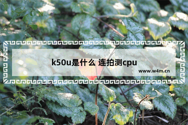 k50u是什么 连拍测cpu