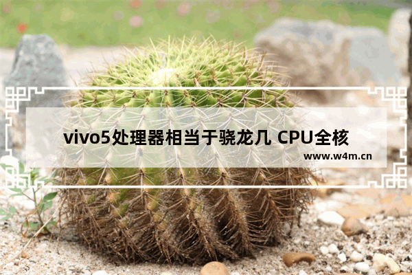 vivo5处理器相当于骁龙几 CPU全核5