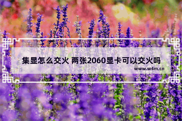 集显怎么交火 两张2060显卡可以交火吗