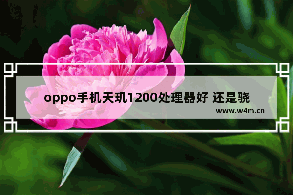 oppo手机天玑1200处理器好 还是骁龙765的好 苹果手机12与13处理器差距有多大