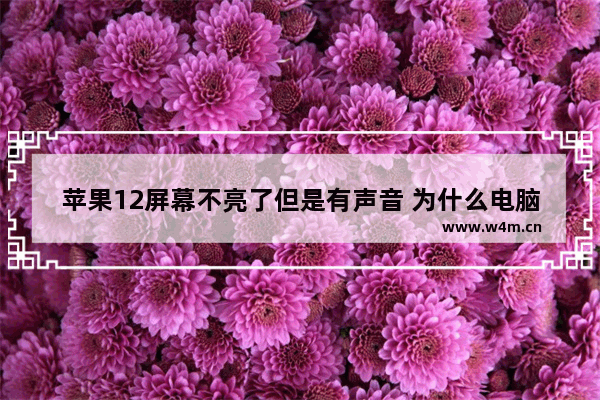 苹果12屏幕不亮了但是有声音 为什么电脑的屏幕亮一会就变暗了