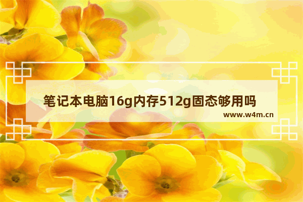 笔记本电脑16g内存512g固态够用吗 16g固态硬盘够用吗