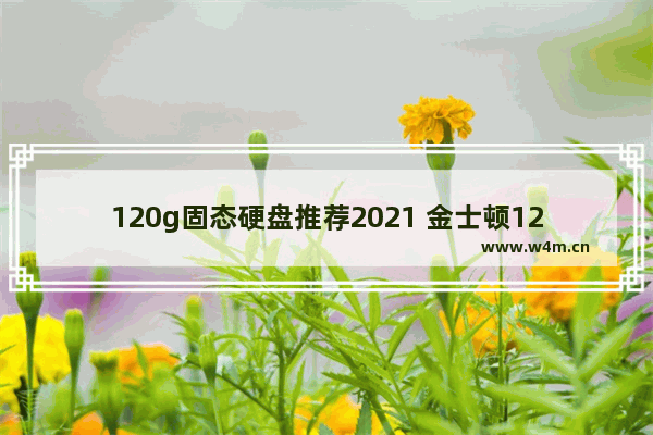 120g固态硬盘推荐2021 金士顿120g固态硬盘哪个最好