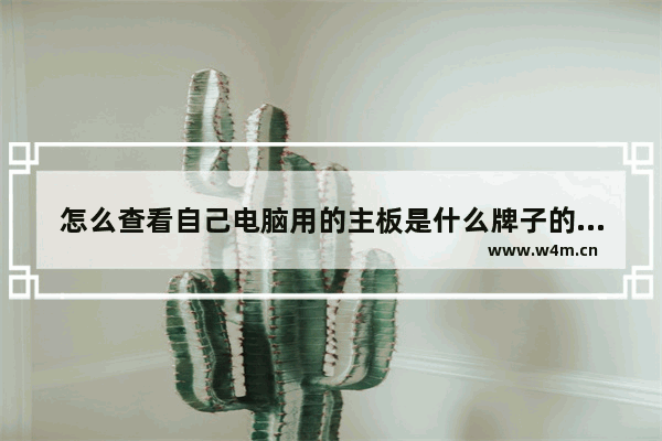 怎么查看自己电脑用的主板是什么牌子的 如何分辨电脑主板电源型号