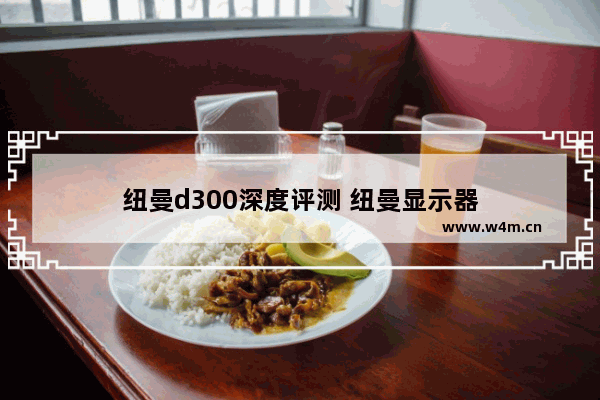 纽曼d300深度评测 纽曼显示器