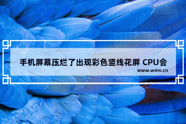 手机屏幕压烂了出现彩色竖线花屏 CPU会压烂