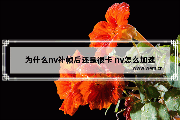 为什么nv补帧后还是很卡 nv怎么加速