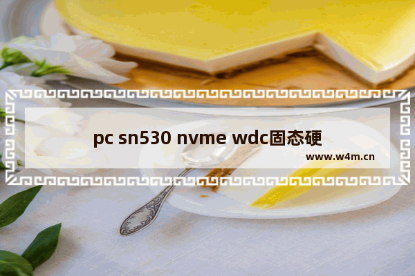 pc sn530 nvme wdc固态硬盘怎么样 英特尔530固态硬盘怎么