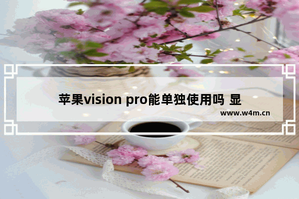 苹果vision pro能单独使用吗 显示器单独用