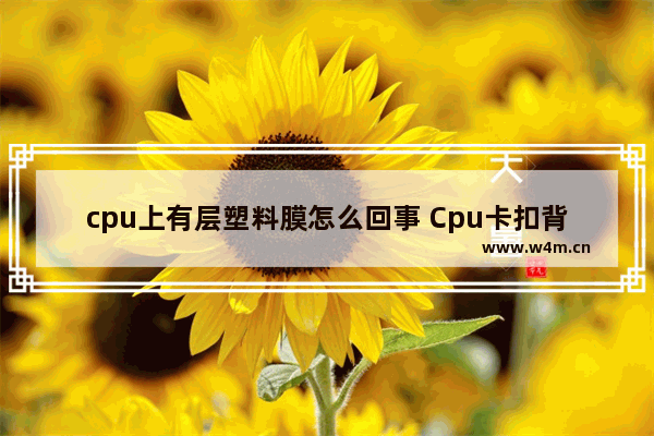 cpu上有层塑料膜怎么回事 Cpu卡扣背面的塑料膜需要撕吗