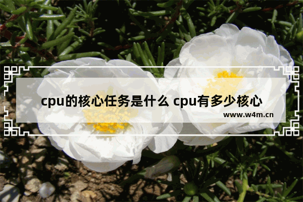 cpu的核心任务是什么 cpu有多少核心