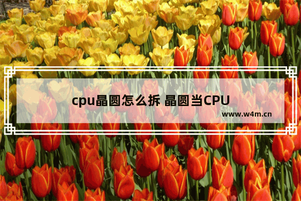 cpu晶圆怎么拆 晶圆当CPU