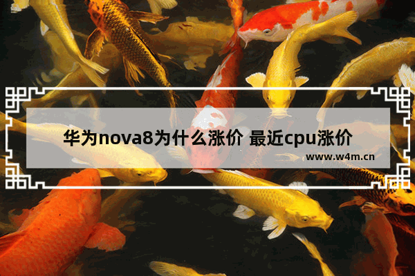 华为nova8为什么涨价 最近cpu涨价是什么原因