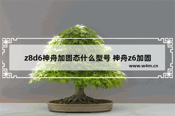 z8d6神舟加固态什么型号 神舟z6加固态硬盘