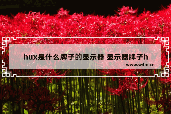 hux是什么牌子的显示器 显示器牌子h