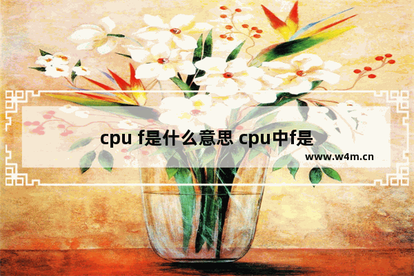 cpu f是什么意思 cpu中f是