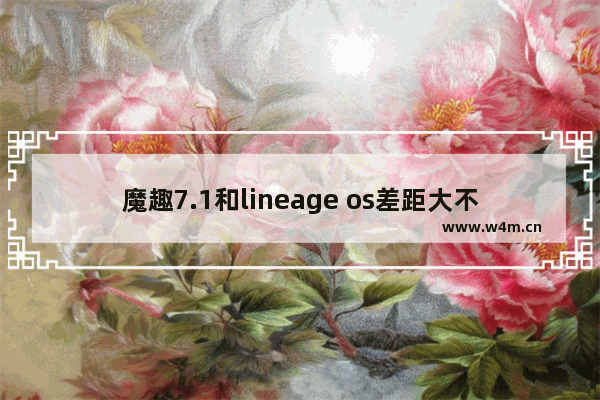 魔趣7.1和lineage os差距大不大 魔趣看cpu