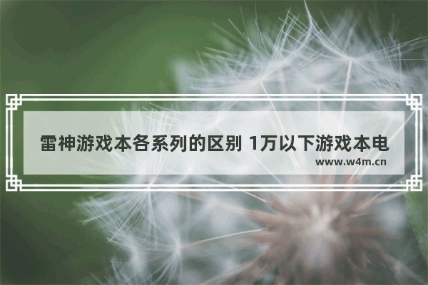 雷神游戏本各系列的区别 1万以下游戏本电脑品牌