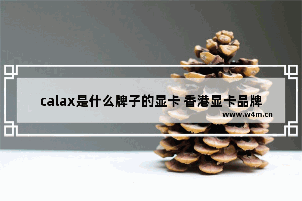 calax是什么牌子的显卡 香港显卡品牌