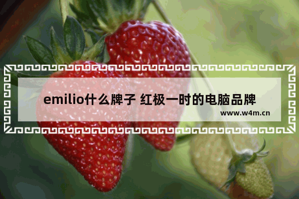 emilio什么牌子 红极一时的电脑品牌是