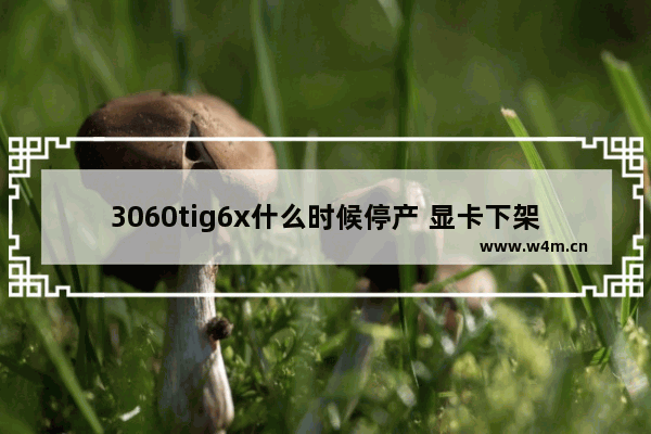 3060tig6x什么时候停产 显卡下架