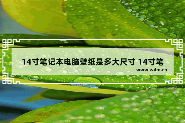 14寸笔记本电脑壁纸是多大尺寸 14寸笔记本电脑壁纸高清