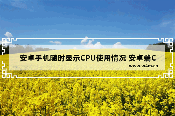 安卓手机随时显示CPU使用情况 安卓端CPU