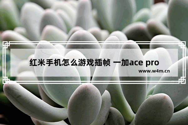 红米手机怎么游戏插帧 一加ace pro和平精英能插帧吗