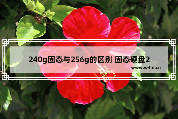 240g固态与256g的区别 固态硬盘240g实际容量