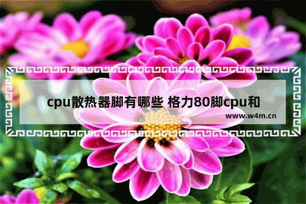 cpu散热器脚有哪些 格力80脚cpu和100脚cpu区别