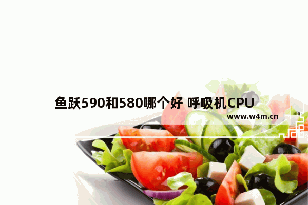 鱼跃590和580哪个好 呼吸机CPU