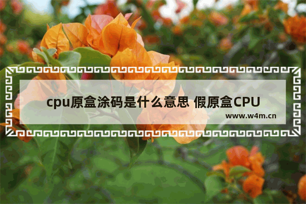 cpu原盒涂码是什么意思 假原盒CPU