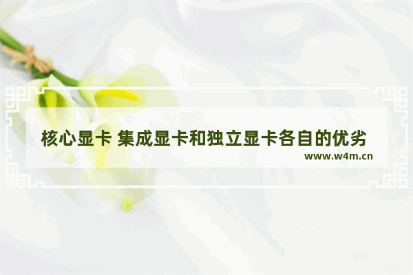 核心显卡 集成显卡和独立显卡各自的优劣 你的见解 2g独显是什么水平对比集成显卡有什么好处