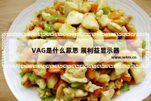 VAG是什么意思 展利益显示器